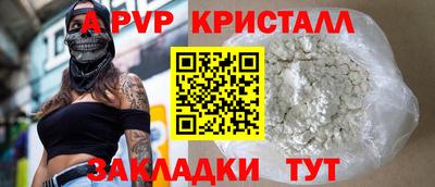 спиды Гатчина