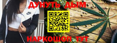 спиды Гатчина