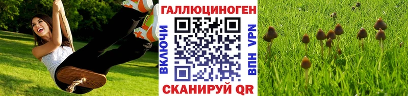 гидра маркетплейс Иваново Псилоцибиновые грибы ЛСД
